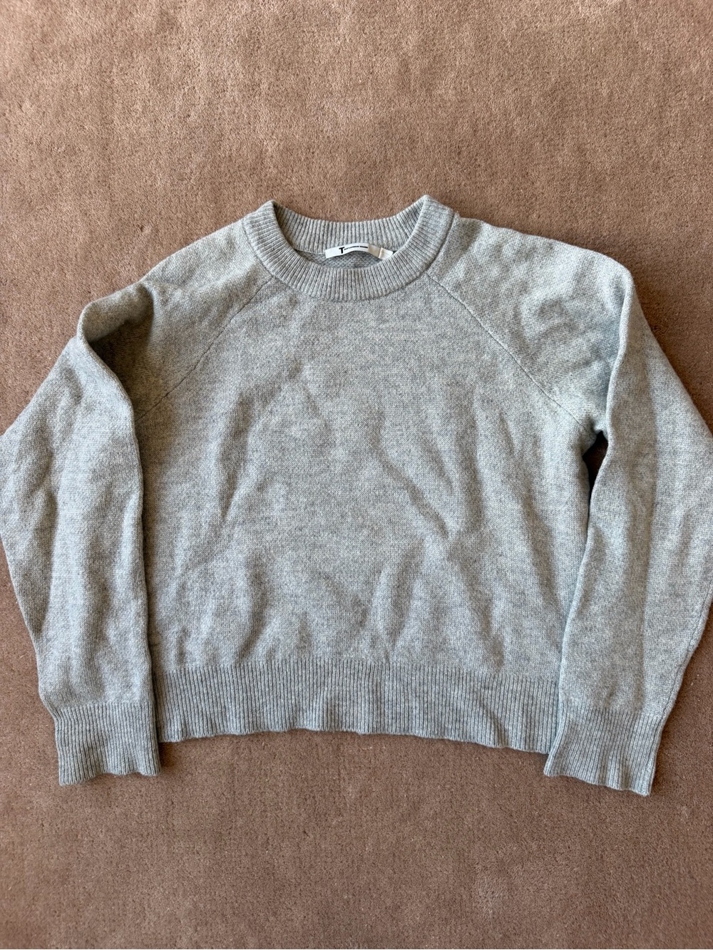 T by Alexander Wang Light Gray Crewneck Sweater